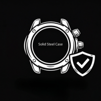 Solid Steel Case