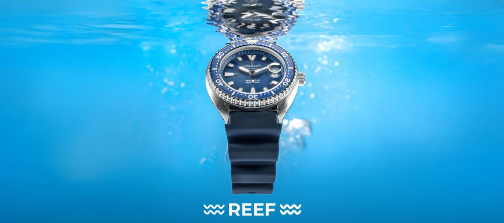 Reef Reef
